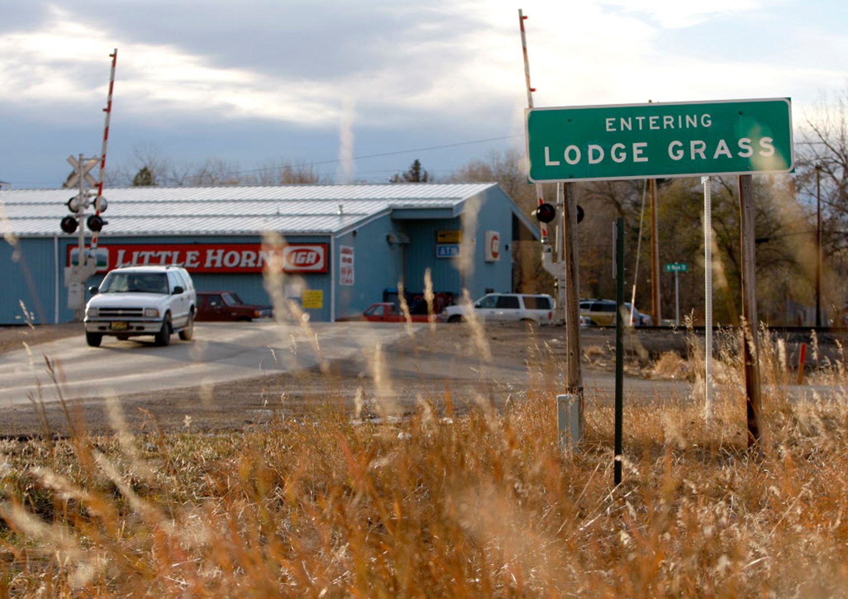 Lodge Grass